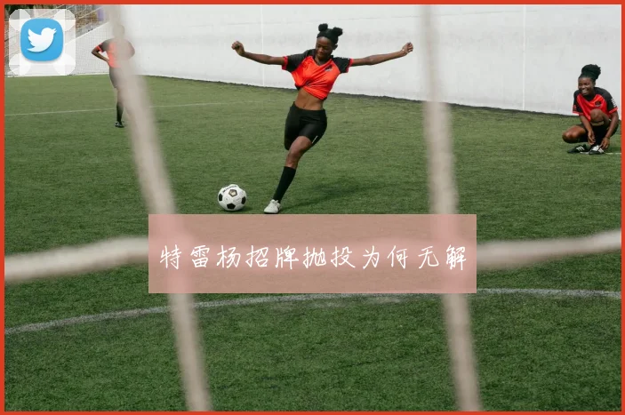 特雷杨招牌抛投为何无解