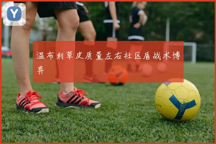 温布利草皮质量左右社区盾战术博弈