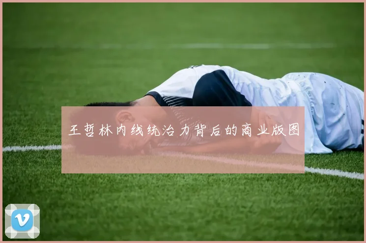 王哲林内线统治力背后的商业版图