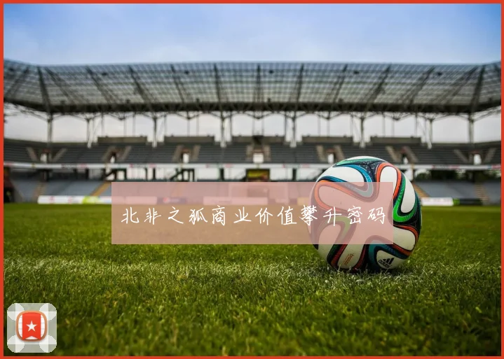 北非之狐商业价值攀升密码