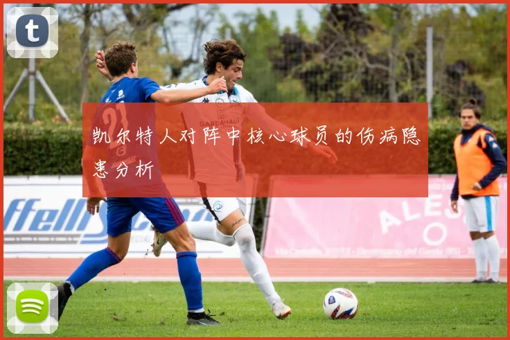 凯尔特人对阵中核心球员的伤病隐患分析