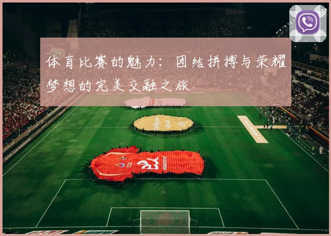体育比赛的魅力：团结拼搏与荣耀梦想的完美交融之旅