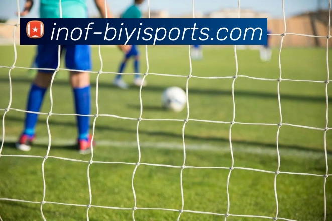 必一体育平台生态图